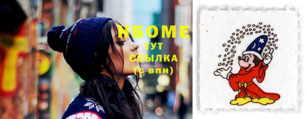 мдпв Верея