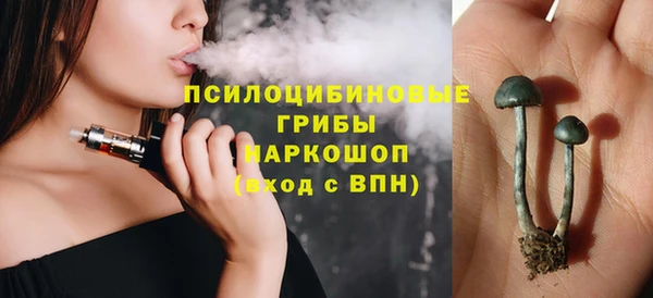 мяу мяу мука Вязьма